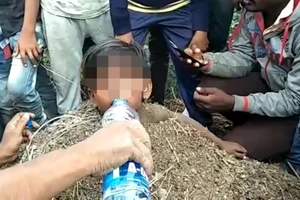 Chôn con trong đống phân bò khi nhật thực xảy ra để chữa bệnh