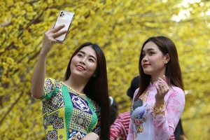 Giới trẻ đổ xô ‘check-in’ đường mai độc đáo ở Sài Gòn 