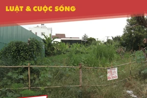 Công an thụ lý vụ KDC Hiệp Bình Chánh bị đem bán