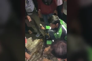 Trăn dài 4 m nằm dưới nệm suốt 4 ngày mà không biết