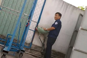 Từ điều tra của PLO: Xử lý nhiều nhân viên đăng kiểm