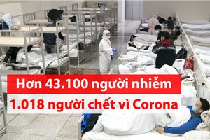 Video: Toàn cảnh dịch Corona ngày 11-2