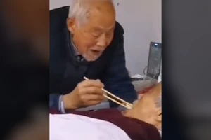 Chồng già chăm vợ nhiễm virus COVID-19 lay động cư dân mạng