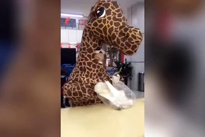 Hết khẩu trang, cô gái mang nguyên hình nộm khi ra đường