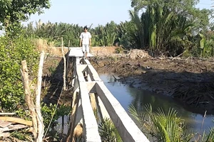 Phạt 40 triệu vì tự ý xây cầu: Người trong cuộc nói gì?