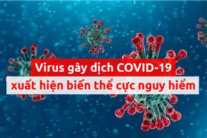 Toàn cảnh tình hình đại dịch COVID-19 ngày 6-5