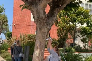 Người biểu tình vây nhà bà Pelosi, đòi mở cửa tiệm làm tóc