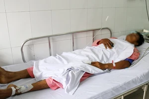 Thêm một người nhập viện do bị rắn hổ mang chúa cắn