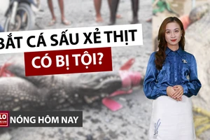 Nóng hôm nay 29-4: Đằng sau việc bắt cá sấu xẻ thịt