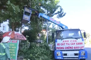 Video: Bão số 5 phức tạp, Đà Nẵng dự kiến sơ tán gần 60.000 dân