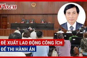 Video: Chuyên gia nói về đề xuất lao động công ích để khấu trừ tiền