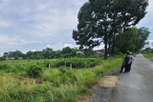 Cùng lên tiếng: Ma trận cò đất vùng ven TP.HCM