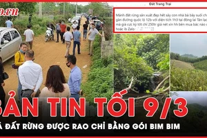 Bản tin tối 9-3: Rao bán đất rừng sản xuất, mỗi m2 giá bằng gói bim bim