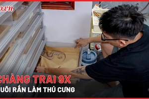 Video: Chàng trai 9X nuôi rắn làm thú cưng