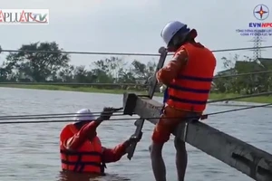 Video: Công nhân EVNNPC ngâm mình dưới nước khắc phục lưới điện sau bão số 10