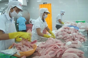 Xoài Cát Chu đã có mặt trên đất Nhật