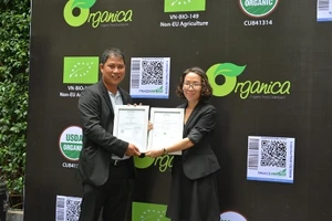 Trang trại rau đầu tiên của Việt Nam được Mỹ, EU chứng nhận hữu cơ