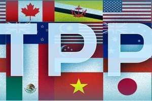 Hơn 90% doanh nghiệp biết quá ít về TPP