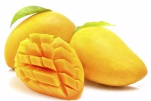 Hàng ngàn tấn xoài Việt Nam sẽ xuất sang Mỹ