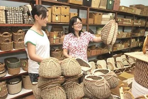 Hàng mây, tre Việt Nam xuất khẩu bị Trung Quốc cạnh tranh