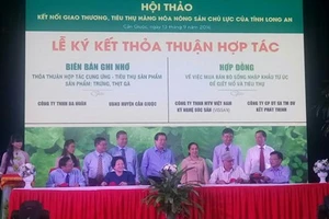 TP.HCM ký kết tiêu thụ chanh không hạt, chuối, rau thơm của Long An