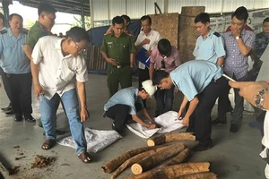 Khởi tố hình sự vụ vận chuyển 900 kg ngà voi châu Phi 