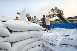 EU siết dư lượng thuốc trừ sâu trong rau, gạo nhập khẩu