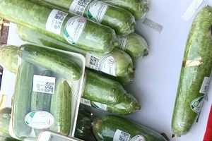 TP.HCM triển khai truy xuất nguồn gốc rau quả bằng Zalo