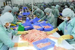 Cá, tôm 'kêu trời' vì phải gánh thêm cả 1 tỉ đồng phí 