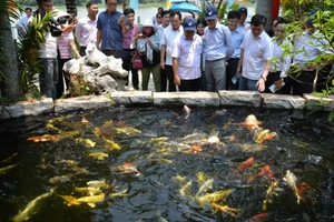 Làm cao tốc trên cao để Củ Chi phát triển du lịch 