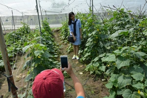 Du lịch nông nghiệp công nghệ cao hút khách