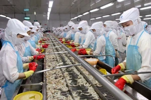 Hàng Việt bất ngờ thua hàng Trung Quốc tại Hàn Quốc