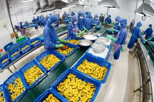 13 tác phẩm đạt giải cuộc thi ảnh 'Tự hào hàng Việt'