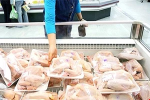 Truy tìm giám đốc nhập đùi gà Mỹ siêu rẻ… 2.000 đồng/kg