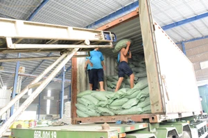 'Ông lớn' gạo vẫn được ưu ái hợp đồng cấp chính phủ