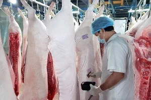 Cận Tết, người nuôi heo vẫn 'méo mặt' vì lỗ 