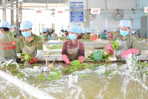 Bất ngờ với người mua hàng Việt Nam nhiều nhất thế giới