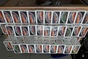 Hơn 250 iPhone vận chuyển trái phép qua sân bay Tân Sơn Nhất 