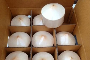 Đặc sản dừa xiêm Bến Tre đấu với dừa Thái trên đất Mỹ