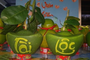 Dừa mạ vàng, mai Mỹ đỏ rực... đổ về chợ Tết TP.HCM 