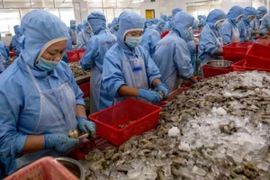 Mỹ gây 'sốc' khi áp thuế bán phá giá 0% với tôm Việt Nam 