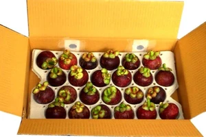 Măng cụt, sữa Việt Nam xuất khẩu chính ngạch sang Trung Quốc