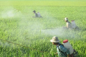 Sốc: VN nhập lượng 'khủng' thuốc trừ sâu từ Trung Quốc