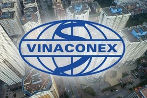 Vinaconex: Một số tài khoản bôi nhọ Tổng giám đốc 