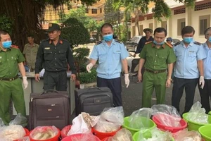 Hơn 500 kg ma túy vào TP.HCM qua đường cảng biển, hàng không