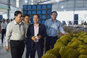 'Vua' bán trái cây sang Mỹ giải cứu thanh long