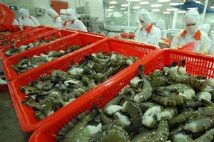 Tôm, cá Việt 'ngồi trên đống lửa' vì dịch COVID-19