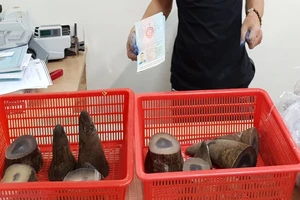 Phát hiện hơn 6 kg sừng tê giác cất giấu tinh vi 