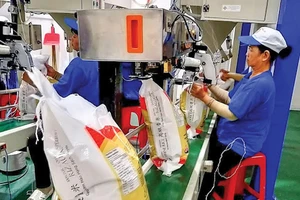 Trung Quốc tiếp tục tăng mua, gạo Việt bán được giá cao