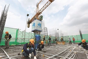 Ông lớn ngành xây dựng trúng 3 gói thầu hơn 1.500 tỉ đồng 